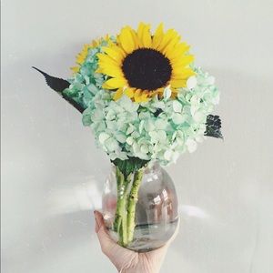 Meet your Posher, Sonja